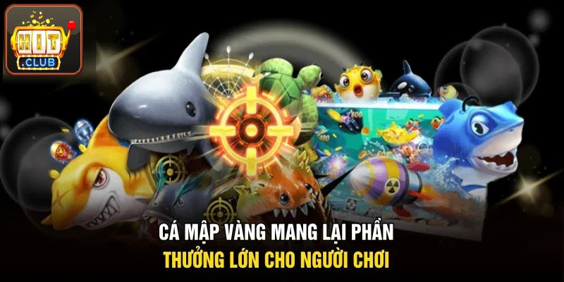 Cá mập vàng mang lại phần thưởng lớn cho anh em